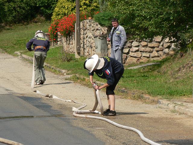 17342335.jpg
